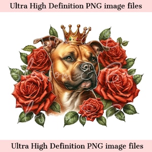 Corona de rey de pitbull digital PNG - Lindo perro pitbull PNG Descarga instantánea para logotipo de peluquero canino y regalo de sublimación de camiseta de tatuaje vintage