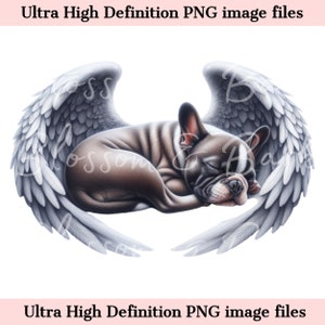 Digital Boston Terrier PNG Dog Memorial PNG - Retrato de mascota con alas de ángel PNG Descarga instantánea para el funeral de Angel Dog - Sublimación de duelo
