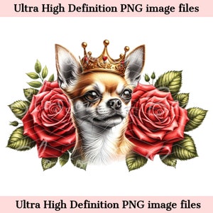 Digital Chihuahua Perro PNG King Crown PNG - Lindo Chihuahua PNG Descarga instantánea para peluquero de perros y regalo de sublimación de camisa de tatuaje vintage
