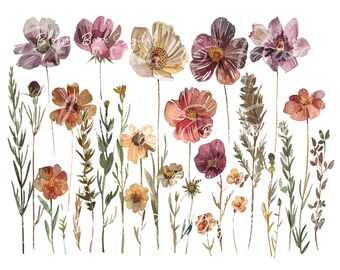 Digital - Cottagecore PNG | wildblumen Sublimations Design | Botanische png Download Datei | Sommer Blumen Natur Shirt Sublimation