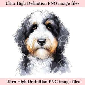 Numérique Bernedoodle Dog PNG Beautiful Bernese Mix PNG - Dog Art PNG - Download for Cute Dog Mom Shirt Sublimation - Coffre-fort pour les publicités