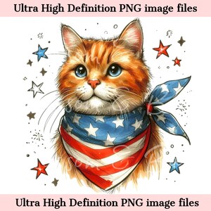 Numérique chat orange PNG imprimable chat Portrait PNG, Amérique Png, chat d'été PNG, chaton téléchargement pour sublimation patriotique 4 juillet