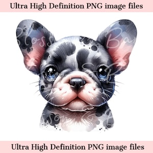 Süßer französischer Bullenhund PNG - Sofortiger Download für Frenchie Bulldog Mom Shirt Sublimation - Chibi Welpe PNG - Süßes Herz Hundeportrait ClipArt