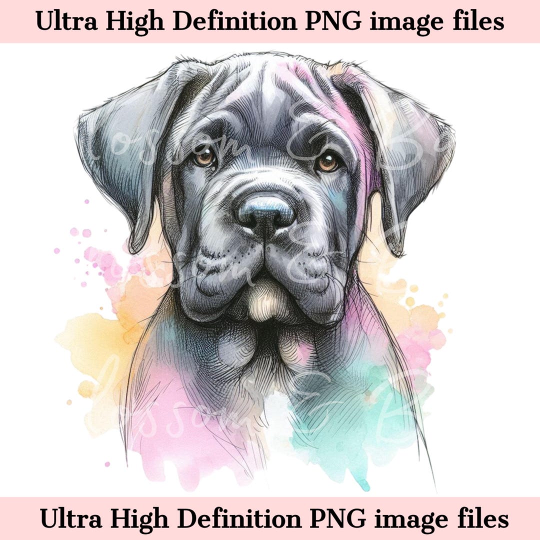 デジタルイタリアンマスティフ犬PNG水彩カネコルソ犬の肖像画PNG、かわいいマスティフ子犬ママ昇華用ダウンロード - 商用利用可 - Etsy 日本, image size:1080x1080