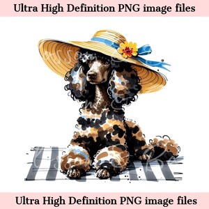 Caniche digital PNG Acuarela Perro de playa PNG - Descarga para sublimación de camisetas de verano para mamás de perros, Caniche estándar Merle Seguro para fines comerciales