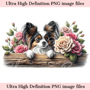 Digitale Peeking Papillon PNG met rozen - bloemen hondenras png voor commercieel gebruik en ambacht - Papillon hond png voor sublimatie van hondenshirt