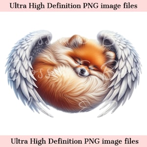 Digitaler Spitz PNG Spitz Hund Gedenkort PNG - Kleinspitz Haustier Porträt mit Engelsflügel PNG Sofortiger Download - Ruhe in Frieden Sublimation