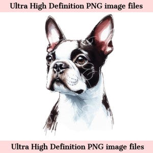 Retrato de perro acuarela digital Boston Terrier PNG - Descarga para sublimación de camisetas de mamá de perro Boston Terrier - Seguro para uso comercial