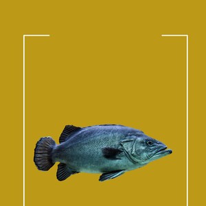 Blue Fish Wall Art (Underwater Collection)