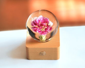 Pink Carnation Sphere Lamp | Crystal Preserved Flower Ornament for Home Decor | Crystal Ball Lamp | Girls Bedroom Decor | Flower Gift