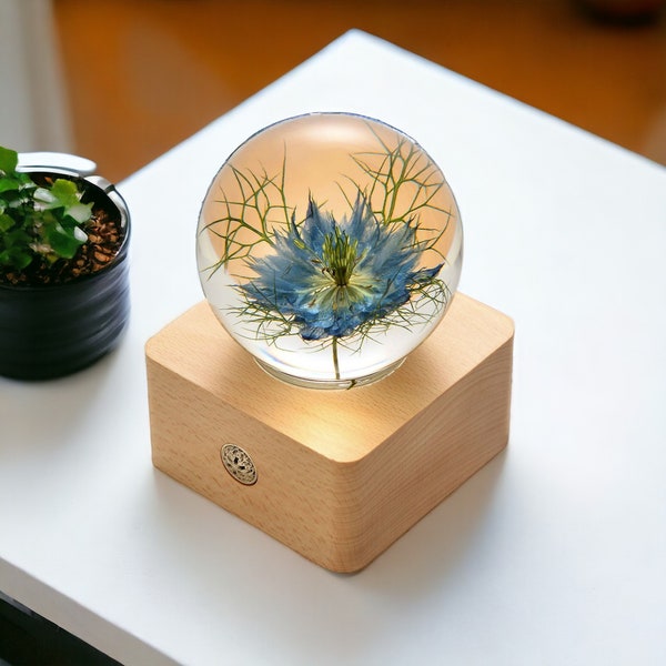 Blaue Nigella-Kugellampe | Kristallkonserviertes Blumenornament für die Inneneinrichtung | Kristallkugellampe | Mädchen-Schlafzimmer-Dekor | Blumengeschenk