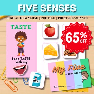 Five Senses Sorting Activity: Homeschool Learning (Digital Download)