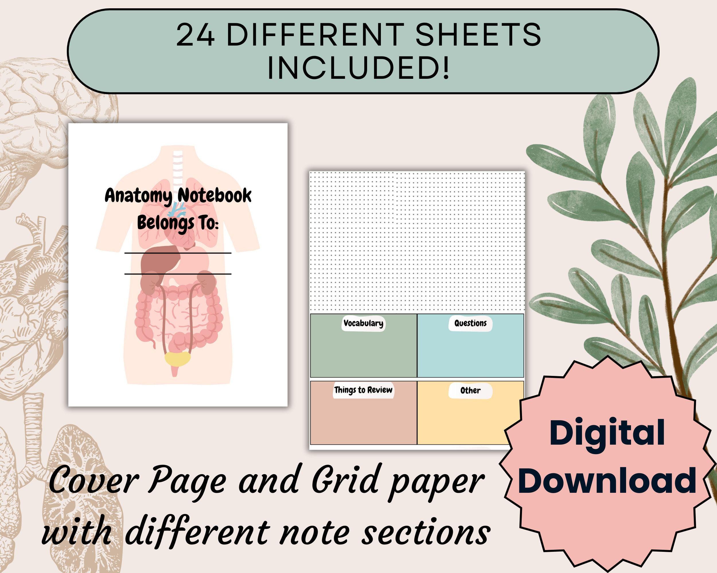 Digital Anatomy Notebook Printable Bundle, Notes for Medical Students ...