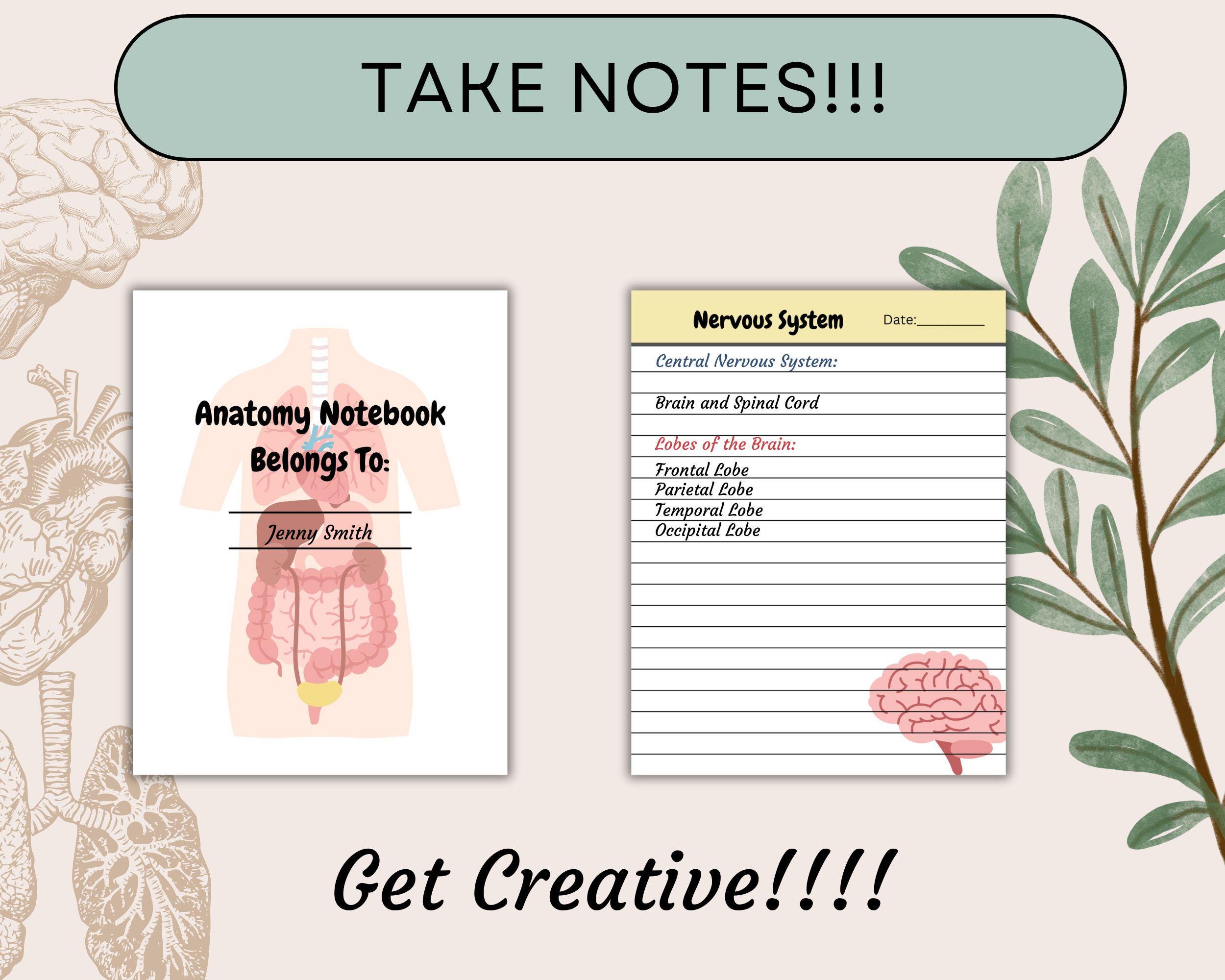Human Tissue Notebook Digital Anatomy Notebook Printable Bundle, Notes for Medical Students ...