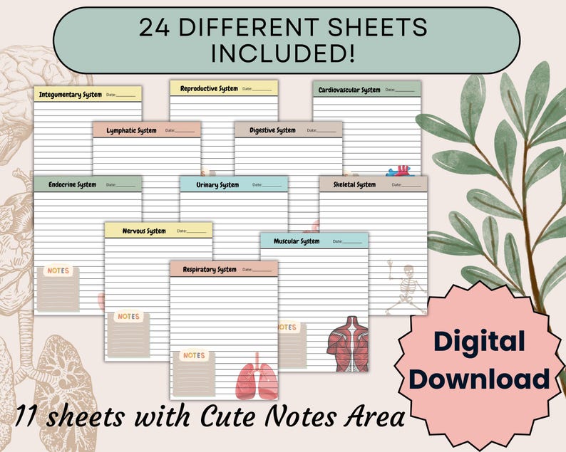 Digital Anatomy Notebook Printable Bundle, Notes for Medical Students ...