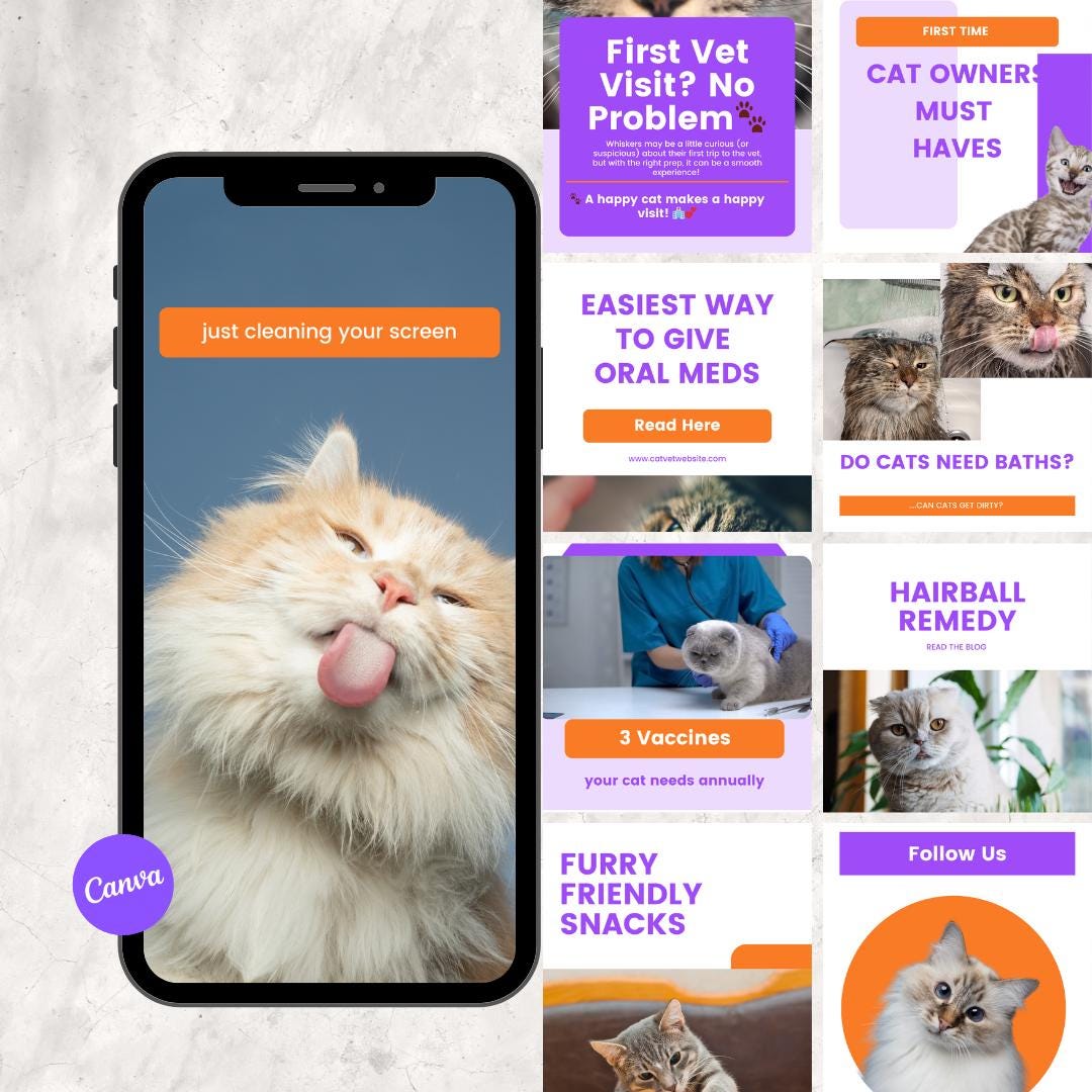 Cat Social Media Templates: Feline Engagement Posts (canva) - Etsy