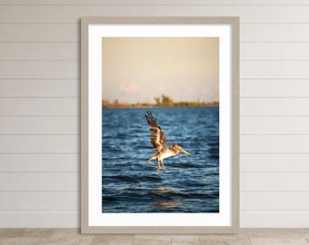 May include: A framed wall art print featuring a brown pelican in flight over deep blue water. The bird is captured mid-air with wings extended, set against a soft, warm-toned horizon. The artwork is encased in a light-colored wooden frame.