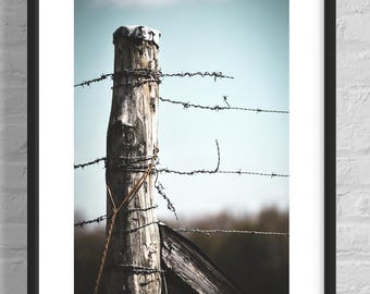 Barbed Wire Fence Photograph, Signed Fine Art Print, Western Farmhouse Decor