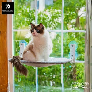 Cat Window Shelf Etsy