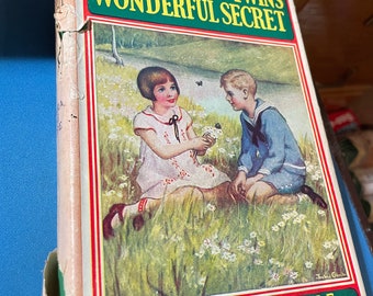 1931 Rare The Bobbsey Twins The Wonderful Secret 1st Edition with Dustcover