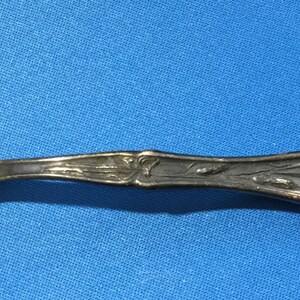 May include: A silver spoon with an ornate floral design on the handle. The bowl of the spoon is round and smooth.
