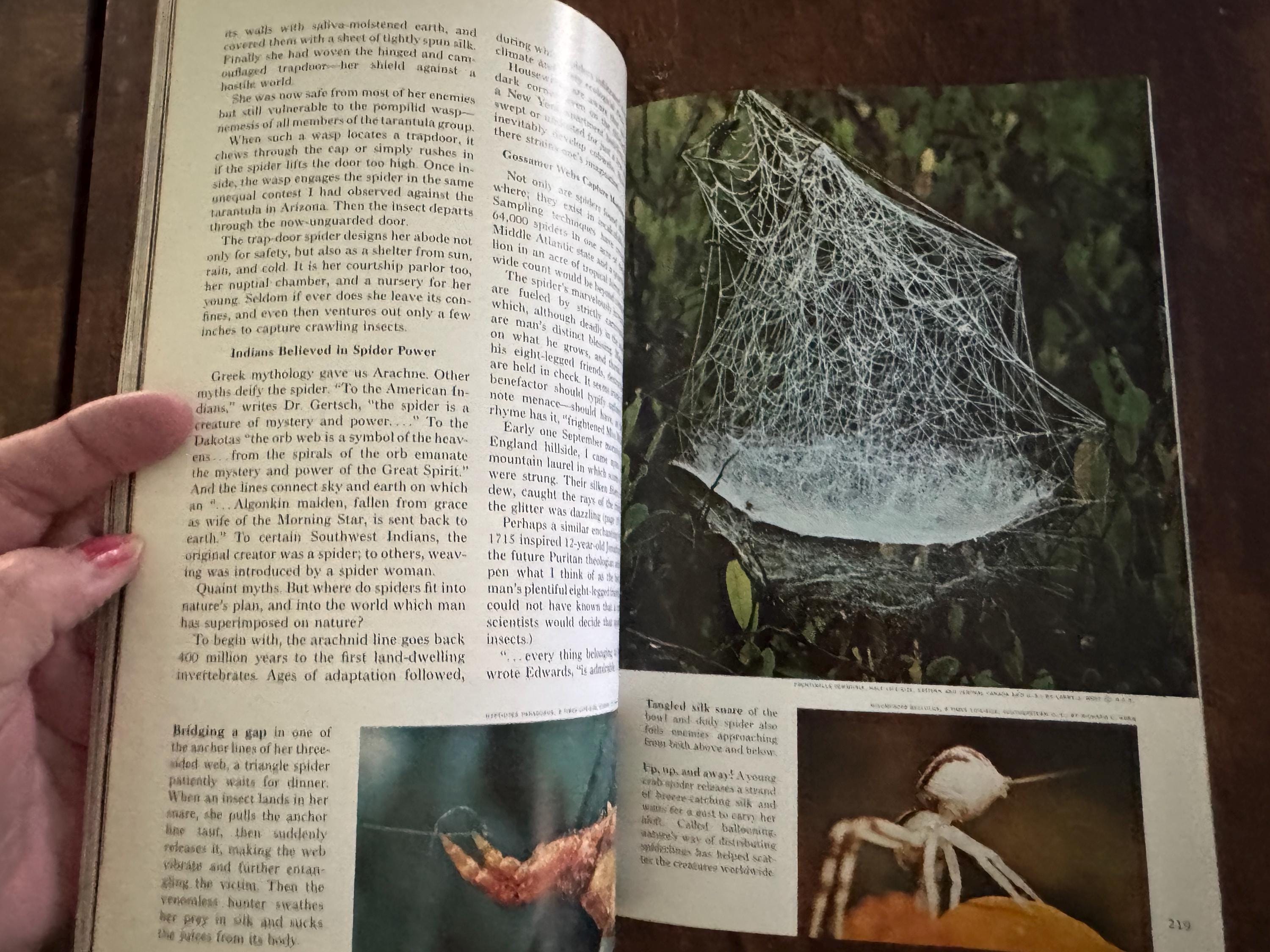 August 1971 National Geographic Magazine (inventory No 2) - Etsy