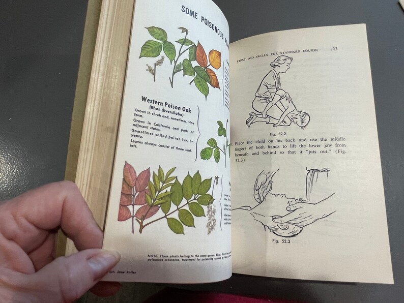 1968 First Aid American Red Cross Handbook Etsy