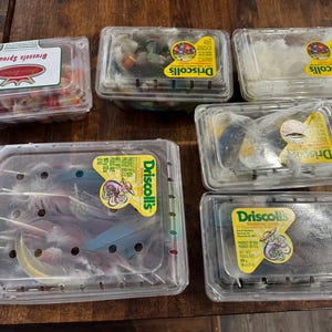 6 Containers of Molted Parrot Body and Wing Feathers for Jewelry and Crafts and Fly Fishing Lures