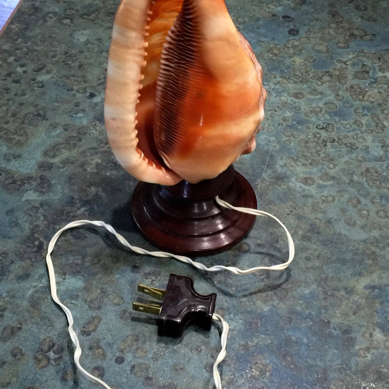 Conch Shell Lamp - Etsy