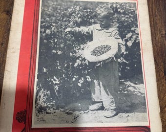 Rare June 15, 1945 Indiana Farmers Guide Picking Blueberries on Cover