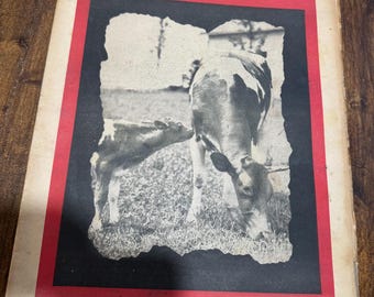 Rare July 15, 1945 Indiana Farmers Guide Mamma and Baby Cow on Cover