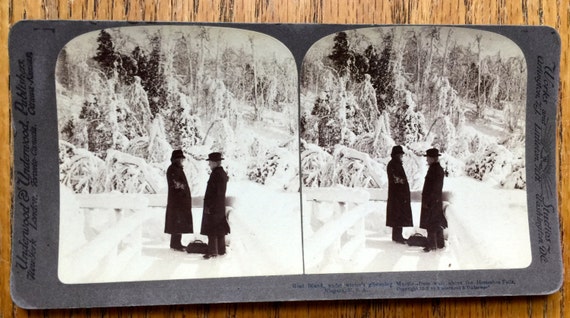 Stereoscope Stereoview 3D Photo Card 1902 Era Underwood Card Goat