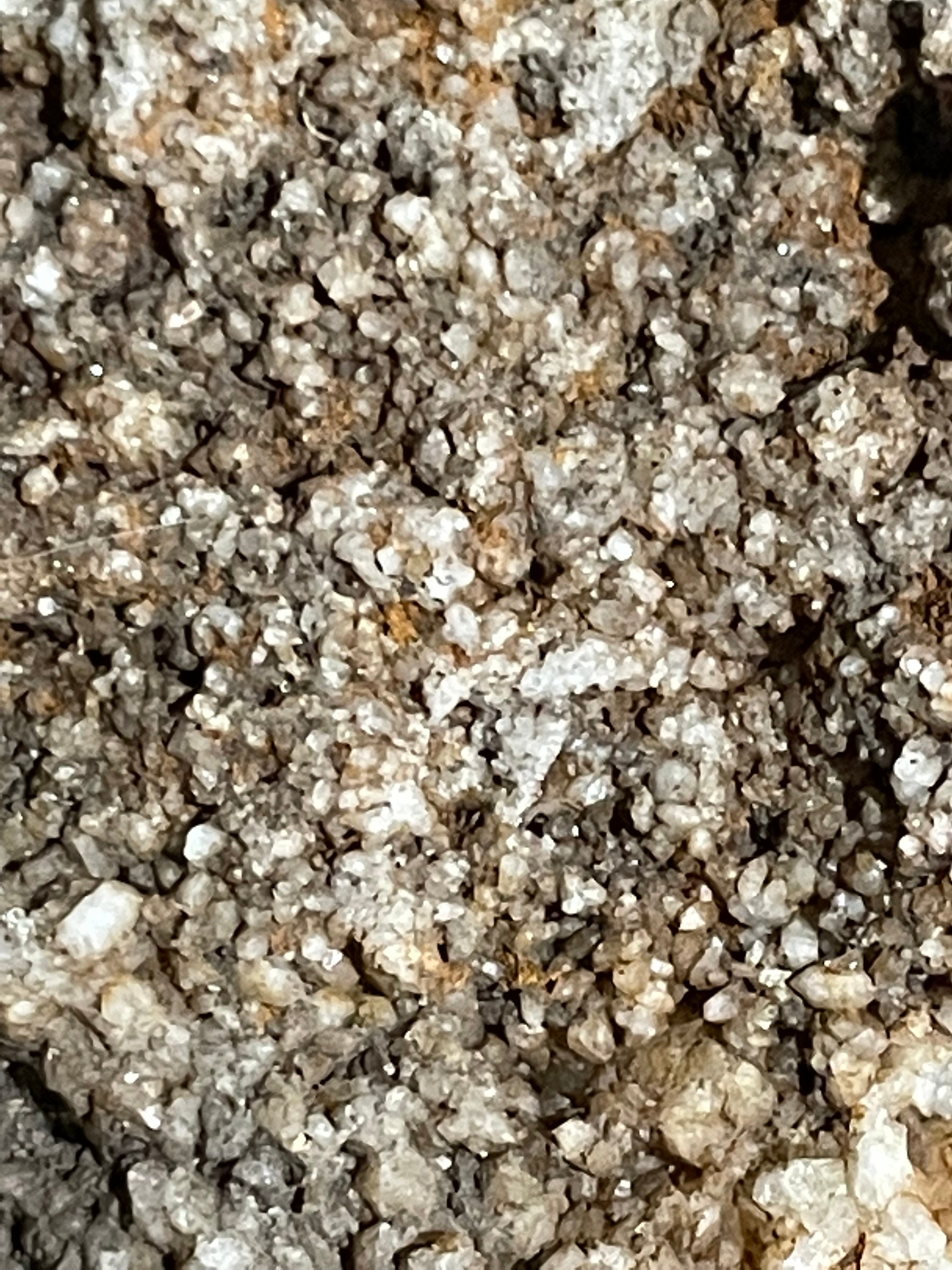 Southern Indiana Geode Rocks Indiana Mineraloid Quartz Geode Rocks Plus 1 Other Indiana Rock 4 Lb 3. ...