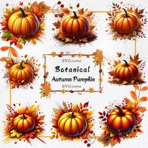 Pumpkin Clipart Bundle - 32 Adorable PNG Fall Pumpkins for Crafting ...