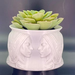Female face Flower Pot | 3D Printed Planter| Home Decor