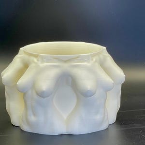 Female bodies in a Flower Pot | 3D Printed Planter| Home Decor