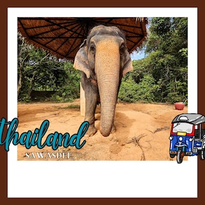 Thailand Postkarte Elefant und Tuktuk Digitaler Download