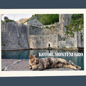 Old Town Kotor Kroatien Postkarte mit Originalfotografie von Stray Americans