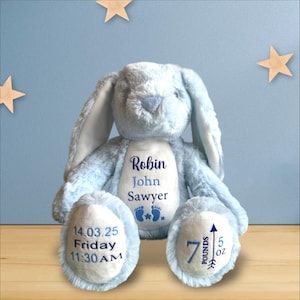 Op de afbeelding: Een lichtblauwe pluche bunny met geborduurde details. De bunny heeft een witte vlek op zijn borst met de naam "Robin John Sawyer" en een voetafdruk symbool. De rechtervoet van de bunny heeft de datum "14.03.25 Friday 11:30 AM" en de linkervoet heeft de tekst "7 pounds 5 oz" met een pijl die omhoog wijst.