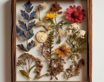 Handmade Plant Specimen Showcases