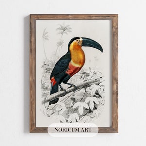 PRINTABLE Bird Wall Art,Farmhouse Wall Art,Rustic Animal Print,Antique Print,Digital Download