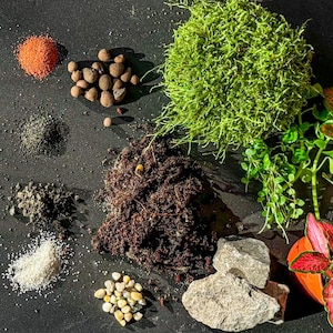 Op de afbeelding: Een verscheidenheid aan ingrediënten voor een terrarium, waaronder aarde, mos, stenen en kleine planten. De ingrediënten zijn gerangschikt op een zwart oppervlak.