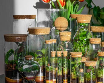 Handgemaakt terrarium • Florarium • Mossarium • Kant-en-klaar • Levend mos en planten