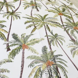 Jungle Coconut  Wallpaper Tree Tropic