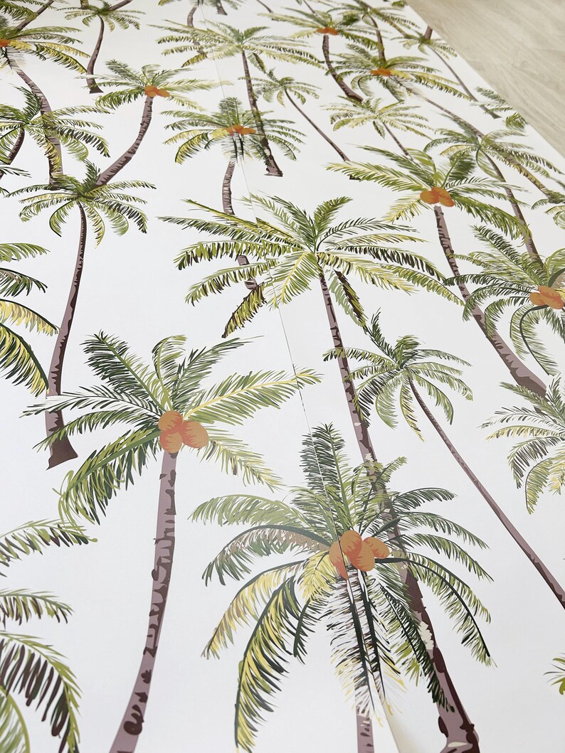 Jungle Coconut  Wallpaper Tree Tropic