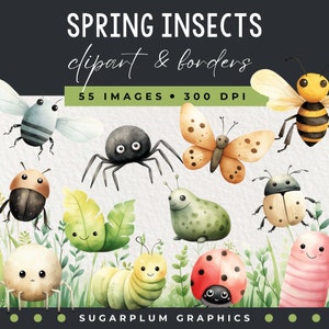 Watercolor Insects Clipart & Border Pack, Cute Spring Bugs Clipart