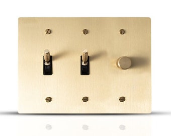 Light switch and dimmer wall plate