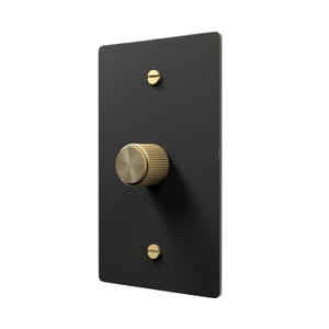 May include: A black dimmer switch with a gold-coloured knob and two small screws. The knob has a ridged texture. The switch plate is rectangular and has a matte finish. The screws are circular and have a flat head.