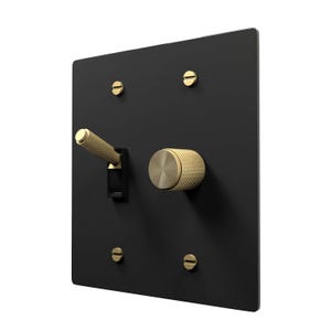 Black Brass Wall Plate with Toggle Light Switch & Golden Knob Brass Dimmer