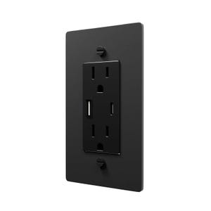 Outlet brass cover plate with black plugs / Rotary dimmers / Toggle Switches